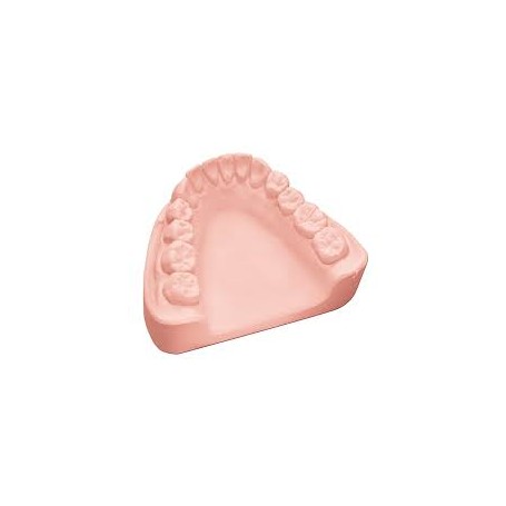 YESO ROSA CLASE IV PINK
