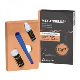 CEMENTO ENDODONTICO MTA BIOCERAMICO 1gr.