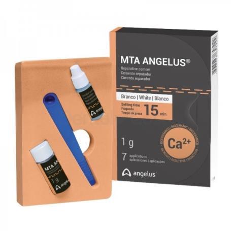 CEMENTO ENDODONTICO MTA BIOCERAMICO 1gr.