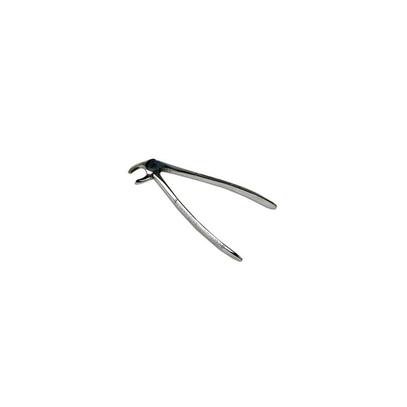 FORCEPS  MOLARES  GERMANY STEEL