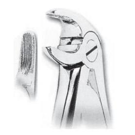 FORCEPS PREMOLARES GERMANY STEEL G.S