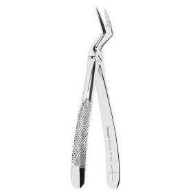 FORCEPS  RAICES   ASA