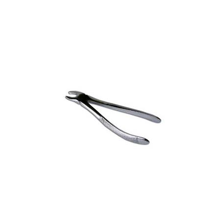 FORCEPS  MOLARES  ASA