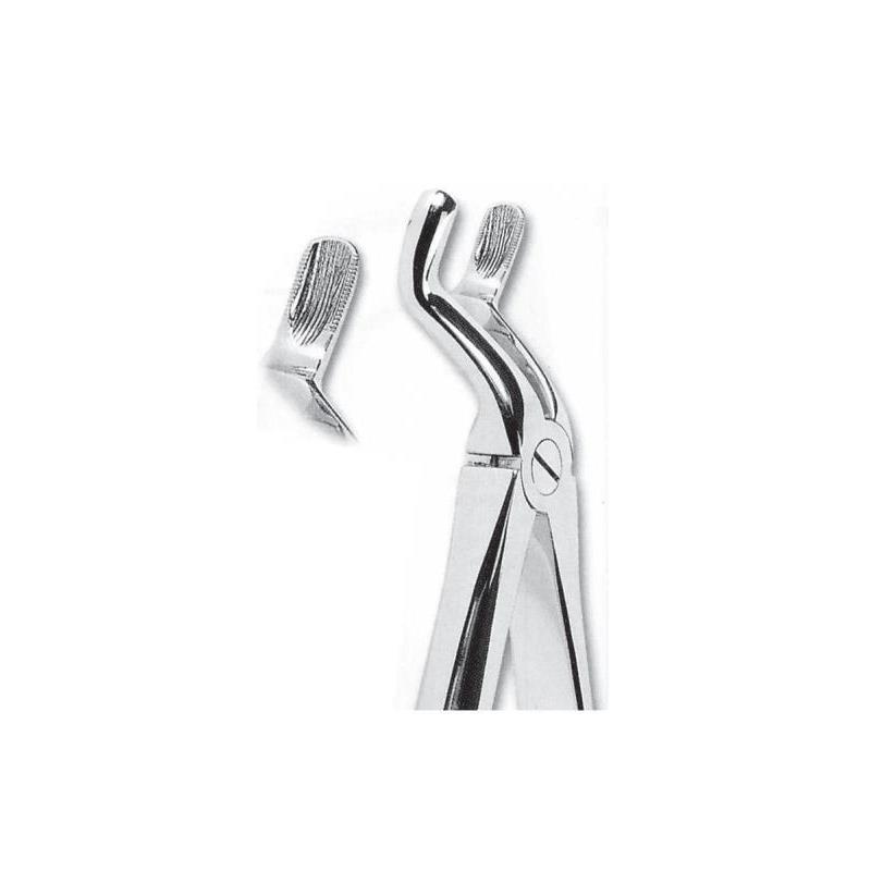 FORCEPS CORDALES G.S