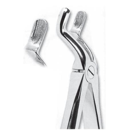 FORCEPS CORDALES G.S