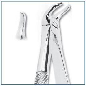 FORCEPS Nº87 CUERNO VACA MOLARES INFERIORES G.S