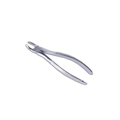 FORCEPS  MOLARES  - MARTIN 