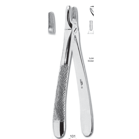 FORCEPS INCISIVOS Y CANINOS G.S